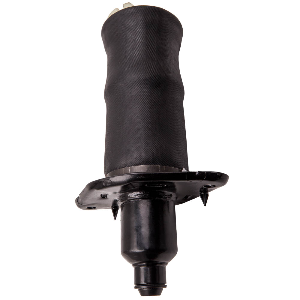 Arrière Gauche Suspension Ressort for Audi A6 C5 4B Allroad Quattro 4Z7616051A