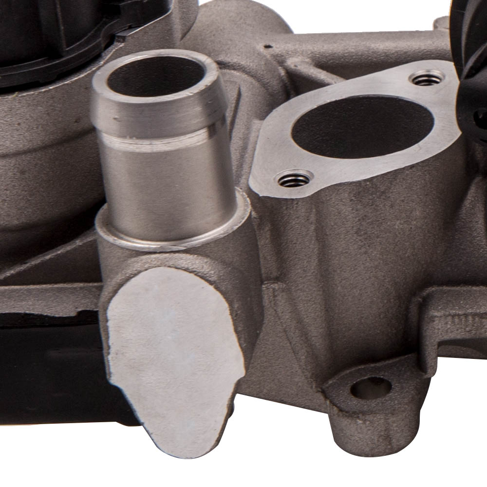 VANNE EGR Refroidisseur for VW GOLF AUDI A3 SEAT 1.6Tdi 2.0Tdi 03L131512CF