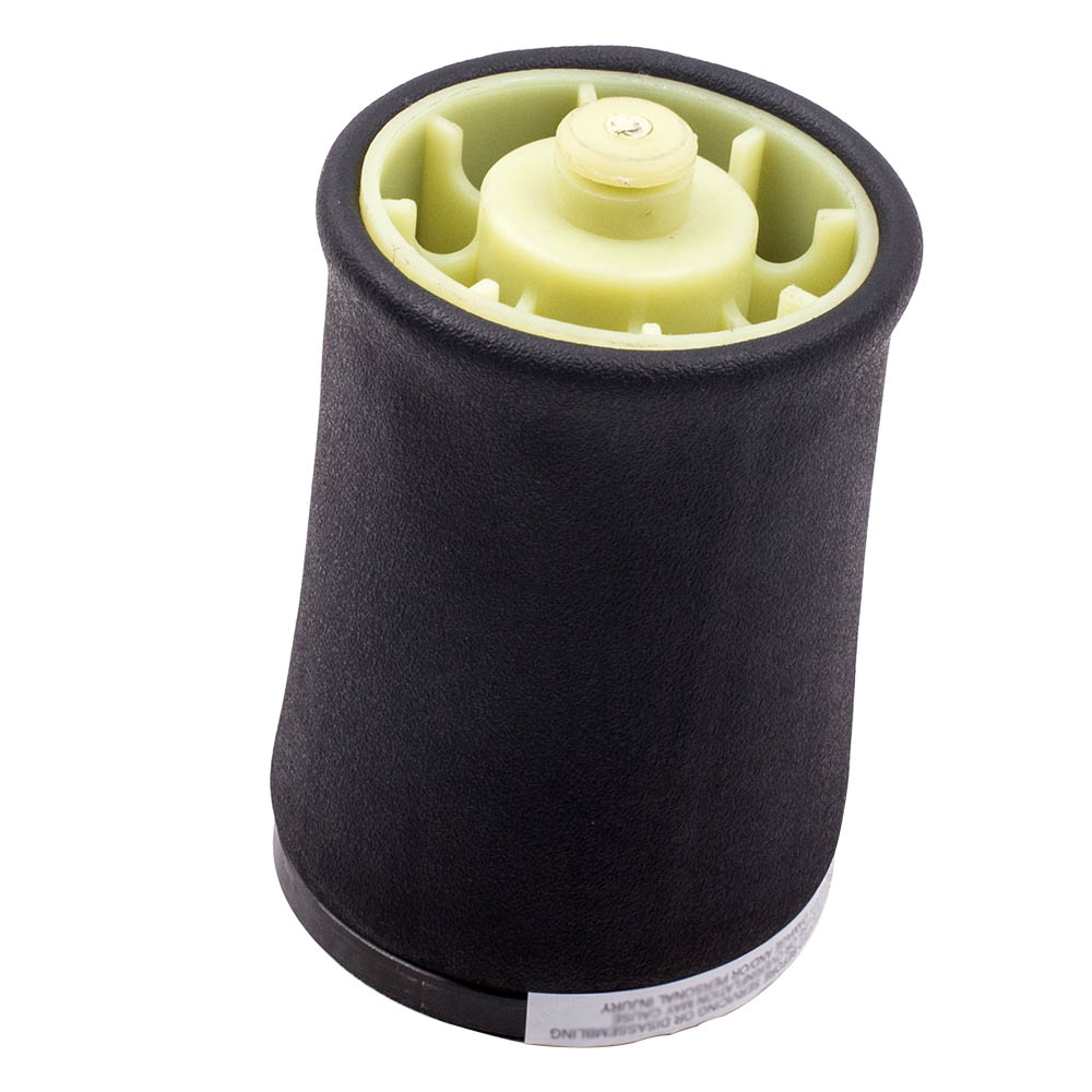 Arrière Ressort Pneumatique suspension for BMW X5 E53 2000-2006 37126750355