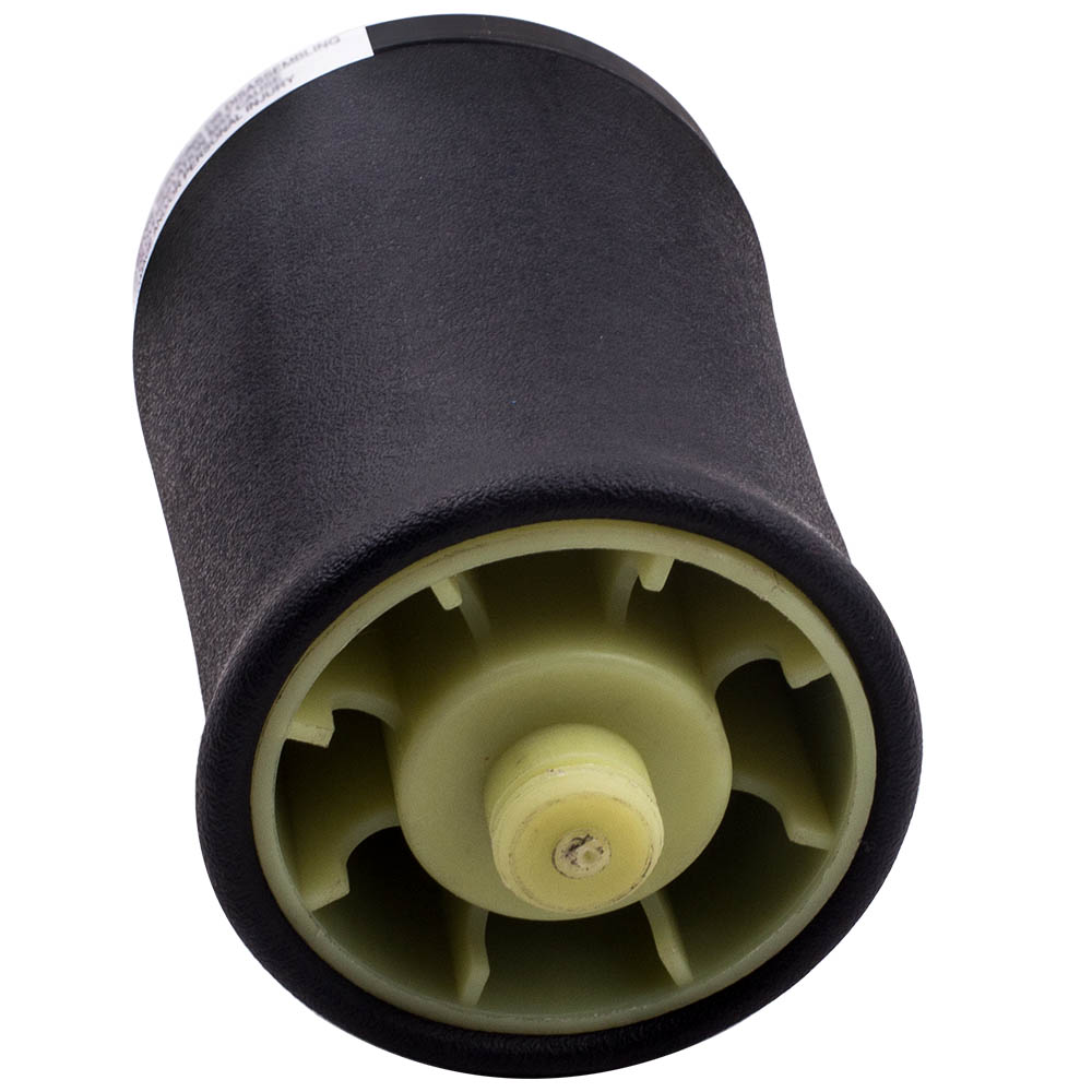Arrière Ressort Pneumatique suspension for BMW X5 E53 2000-2006 37126750355