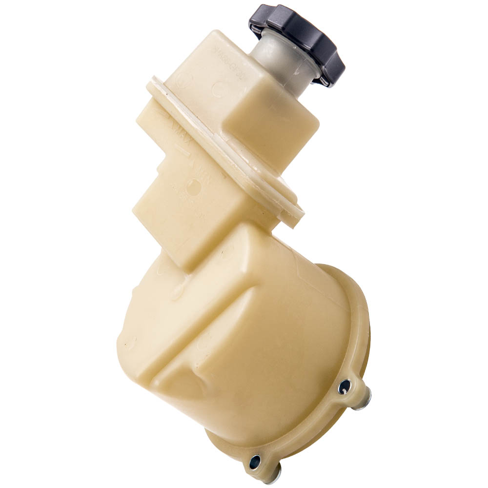 Dodge Charger Power Steering Fluid